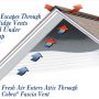 Need for Attic Ventilation